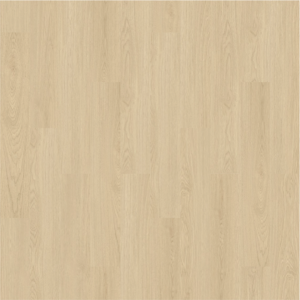 Sx 00 6003 Rw 1