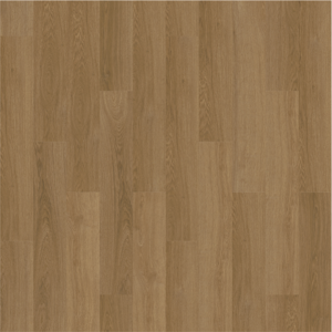Sx 00 6004 Rw 1