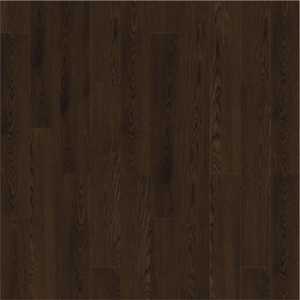 Sx 00 6006 Rw 1